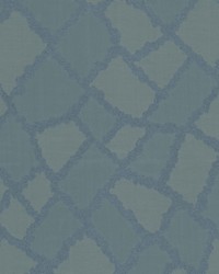 Dichondra 1 Slate by   