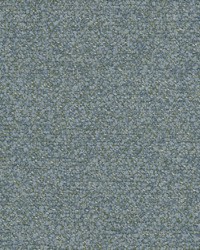 Difference 1 Bayberry by  Stout 