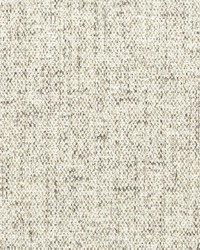 DIOCESE 1 ASH by  Stout 