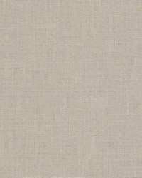 Dobbie 2 Pumice by  Stout 