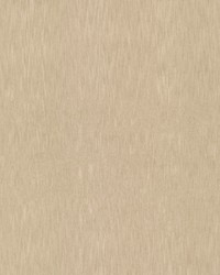 Dolby 2 Biscuit by  Stout 