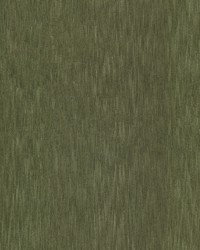 Dolby 6 Olive by  Stout 