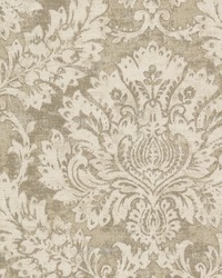 Donovan 2 Khaki by  Stout 