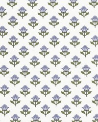 Dream 1 Lilac by  Stout 