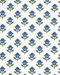 Dream 3 Blueberry by  Stout 