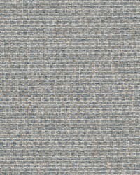 Driven 1 Denim by  Stout 