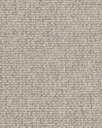 Driven 3 Driftwood by  Stout 