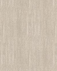 Duluth 2 Champagne by   