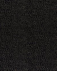 DURHAM 2 OBSIDIAN by  S Harris 