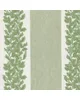 Stout EDERA 3 SPRING