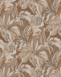 Eira 2 Gingersnap by   