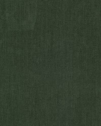 Elapse 2 Jungle by  Stout 