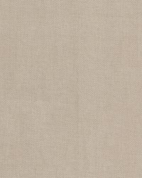 Elapse 5 Biscuit by  Stout 