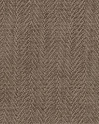 Elapse 8 Acorn by  Stout 