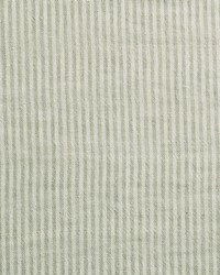 Endeavor 7 Pistachio by   