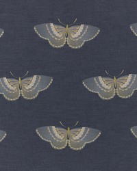 Enhance 1 Ink by  Stout 