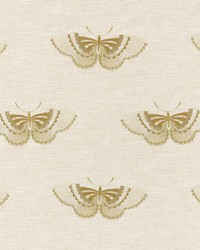 Enhance 2 Chardonnay by  Stout 