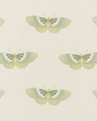 Enhance 3 Basil by  Stout 