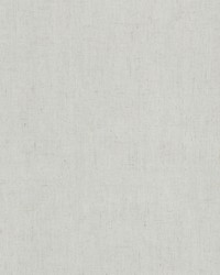 Enoki 2 Dove by  Stout 