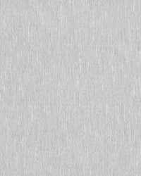 Equator 2 Dove by  Stout 