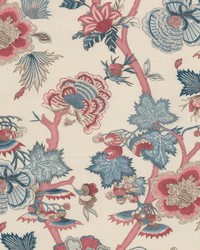 Escapade 1 Firecracker by  Stout 