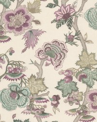 Escapade 2 Orchid by  Stout 