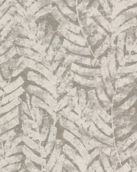 Esprit 2 Pongee by  Stout 