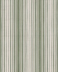 Feldman 3 Fern by  Stout 