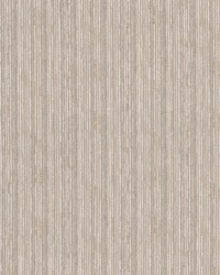 Fetzer 1 Pumice by  Stout 