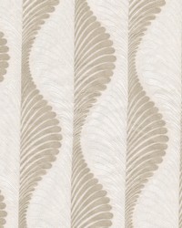 Film 2 Birch by  Stout 