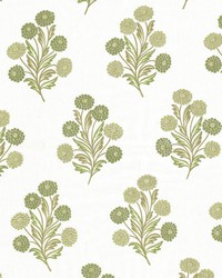 Foxcroft 1 Celery by  Alexander Henry 