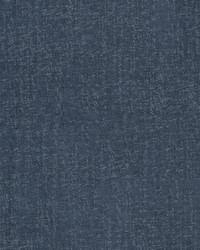 Foxhill 1 Blueberry by  Stout 