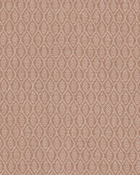 Framework 1 Peach by  Stout 