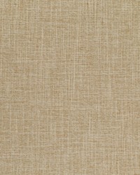 Frequency 1 Toast by   