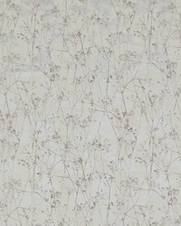 Fulbright 4 Birch by  Europatex 