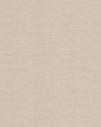 Further 2 Champagne by  Stout 