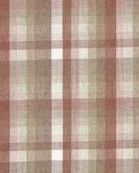 Georgia 3 Blush by  Stout 