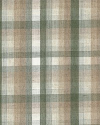 Georgia 4 Sage by  Stout 