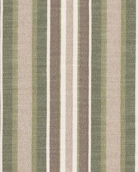 Gina 1 Seedling by  Stout 