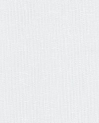 Globe 1 Bleach by  Stout 