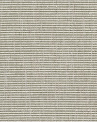 Guest 2 Fern by  Stout 