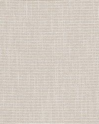 Guest 4 Biscuit by  Stout 