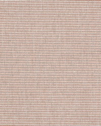 Guest 5 Nectar by  Stout 