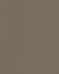 Hagrid 1 Twig by  Stout 