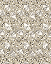 Harem 1 Driftwood by  Mirage 