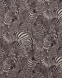 HAWLEYVILLE 2 ZEBRA by  S Harris 