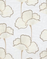 Heywood 1 Oldgold by  Stout 