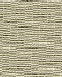 Hipster 2 Jungle by  Highland Court 