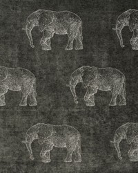 HOOVER 1 PEWTER by  Stout 