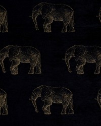 HOOVER 2 BLACK by  Stout 